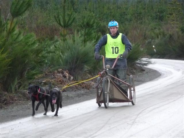 2 Dog Rig Race 
